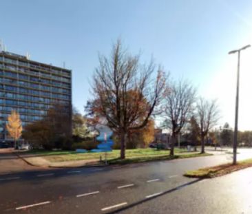 Appartement pour seniors Birdplein 76, Leeuwarden - À louer - Photo 1