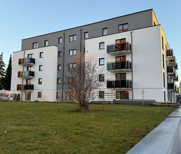 Bester Energiestandard! Moderne 1-Zi-Erdgeschosswohnung mit Garten ... - Photo 6