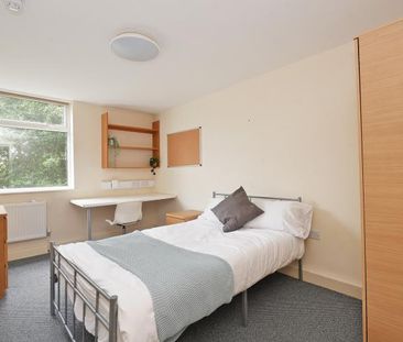 Student Apartment 3 bedroom, Ecclesall Road, Sheffield - Photo 5