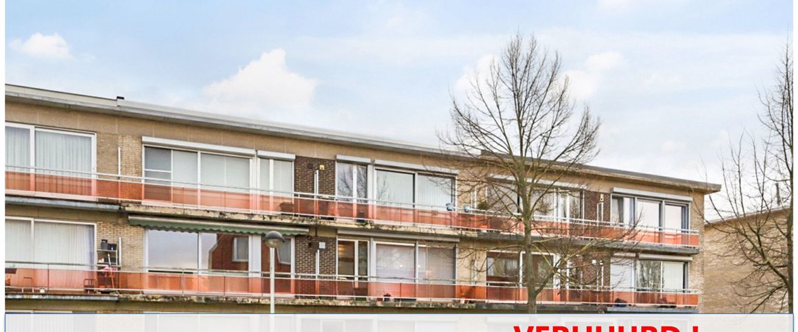 Volledig, stijlvol gerenoveerd 2-slpk appartement te huur in de Buizegemwijk te Edegem ! - Foto 1