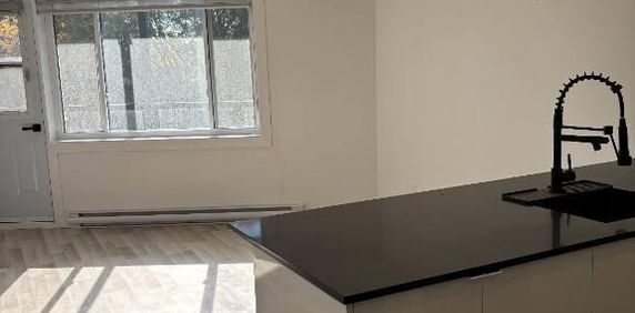 Studio rénové à louer – NDG / Métro Vendôme - Photo 2