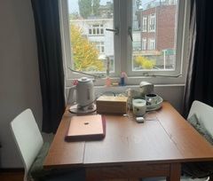 Te huur leuke studentenkamer met kitchenette in Utrecht Oost - Foto 3