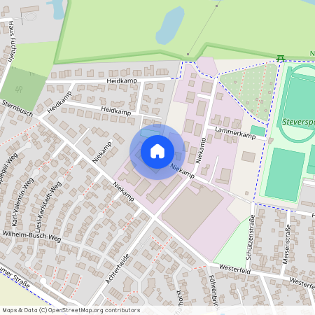 Niekamp, 59399 Olfen