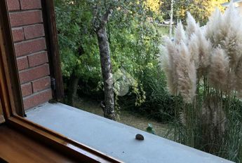 Casa indipendente in affitto