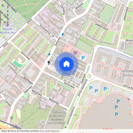 37 Dębowa Dąb Katowice Polska