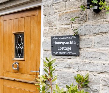 1 bedroom cottage to rent - Photo 6