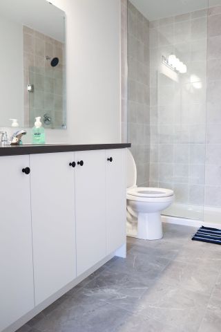 For Lease - 1062 Curraglass Walk, Stittsville - Munster - Richmond, Ontario - Photo 2