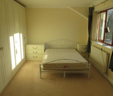 Sophia Walk - Photo 6