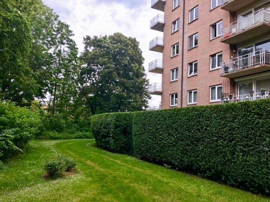 Huis te huur - Foto 1