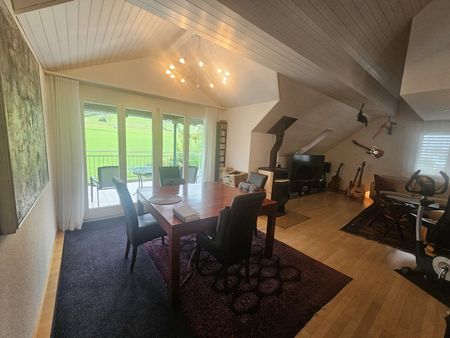 3-ROOM APARTMENT IN EGG B. ZURICH (ZH), FURNISHED, TEMPORARY - Photo 3