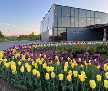 For Lease - 48 Sandbanks Drive, Richmond Hill, Ontario - Photo 1