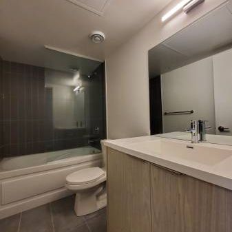 60 Shuter St Feels brand new + den yonge/dundas sq - Photo 4