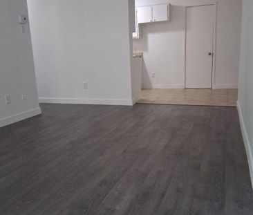 Appartement 1 chambre — 1 mois gratuit ! - Photo 4