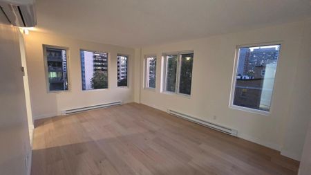 Appartement à louer - Montréal (Ville-Marie) (Centre Ouest) - Photo 2