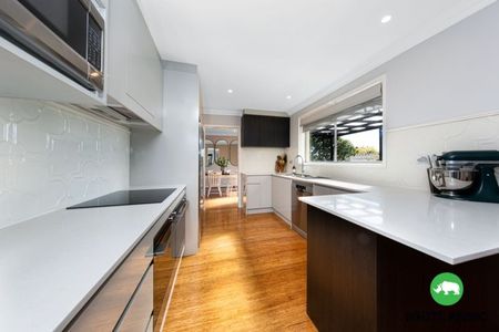 16 Ullamulla Crescent, Queanbeyan - Photo 5