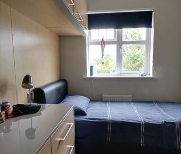 Waterlow Close, TF2, Priorslee - Photo 5