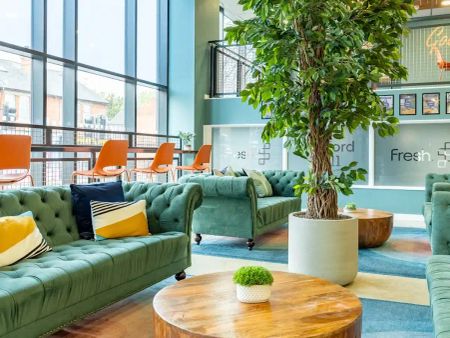 Bronze Plus Studio - Photo 3