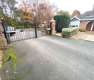 Brighton Lodge, Foxrock, Dublin 18 - Photo 5