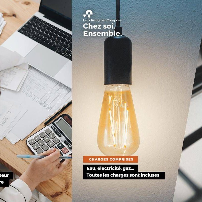 Appartement T1 Meublé clé en main - Nantes Bord de Sèvre - Photo 1