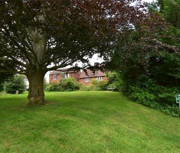 1 bedroom maisonette to rent - Photo 6