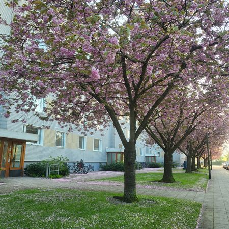 Ingenjörsgatan, Malmö - Foto 3