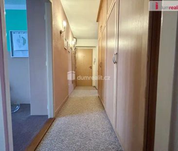Pronájem 3+kk ve Zruči nad Sázavou, zděný dům, sklep - Fotografie 4