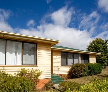 10 Mackay Street, Mayfield TAS 7248 - House For Rent - $410 | Domain - Photo 2