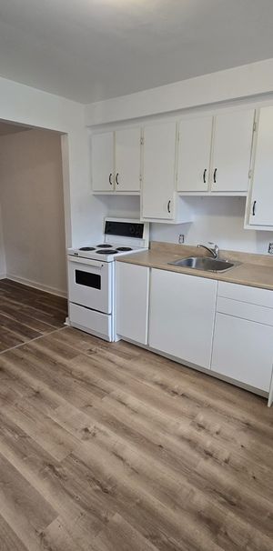 3 1/2 Mercier/Parc Bellerive - Photo 1