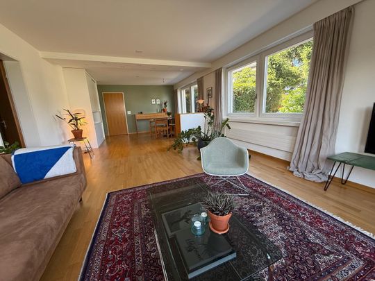Freshly renovated and Furnished Apartment with Garden, Lake Views and Mid-Century Modern Style - Foto 1