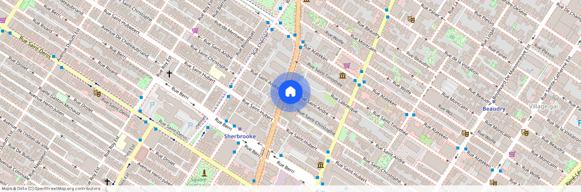 874 Rue Sherbrooke E. #304, Ville-Marie (Montréal), H2L1K9