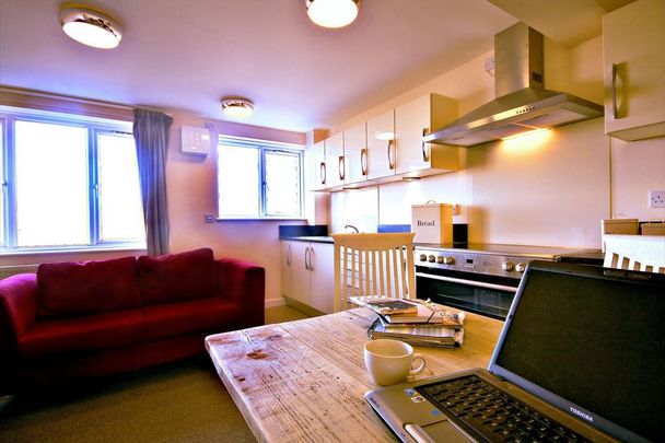 1 bedroom house to rent - Photo 1
