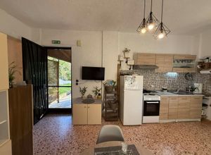 Studio/Γκαρσονιέρα για ενοικίαση - Μακρύς Γιαλός - Photo 3