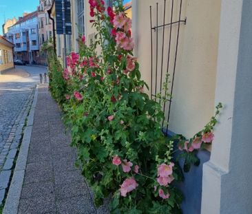 Ystad - 2rok - tillsv - 11.500kr/mån - Foto 6