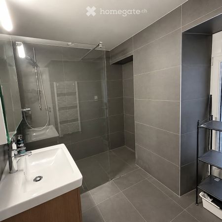 Appartement 2.5 pièces 44m2, hyper centre - Photo 4
