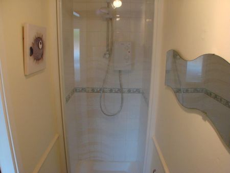 3 bedroom House To Let - Photo 5