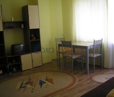 Apartament 1 camere de inchiriat in Cluj-Napoca, Marasti ID 979 - Photo 4