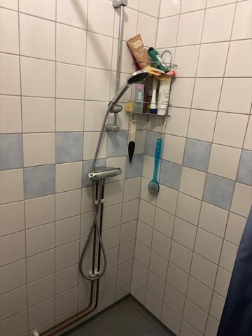 Floragatan, Uddevalla - Photo 4