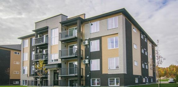 Logement 4 1/2 - Décembre 2025 - Photo 2