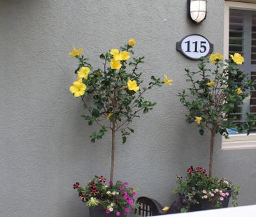 For Lease - 107 Wintergreen Place Unit# 115, Blue Mountains, Ontario - Photo 3