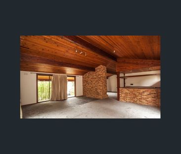 Light-Filled Family Retreat with Multiple Living Areas & Huge Backyard - Photo 1