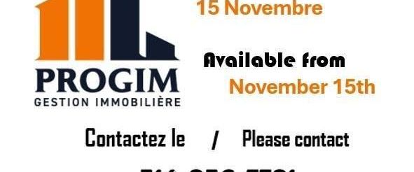 3 CH - 1 SDB - Montréal - $1,850 /mo - Photo 1