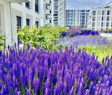 Nachmieter gesucht, Neubau, 1 Zimmer, Spandau Berlin, Mietwohnung - Foto 1