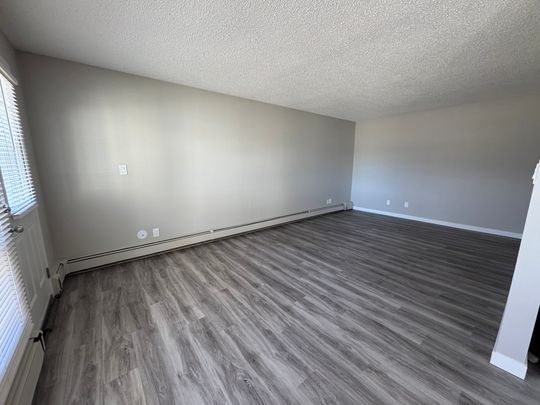 Amazing 2 Bedroom Apartment on Quiet Close!! - Photo 1