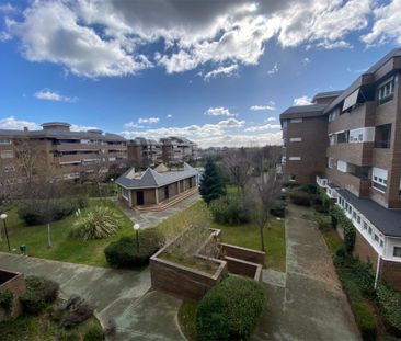 Piso de alquiler en Calle Velázquez, 39, Golf - El Carralero - Photo 1