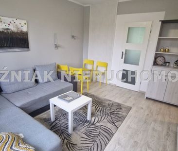 Wałbrzych, Piaskowa Góra Mieszkanie na wynajem - Photo 1