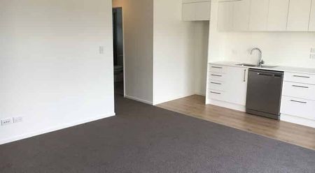 Magic in Merivale - Photo 5