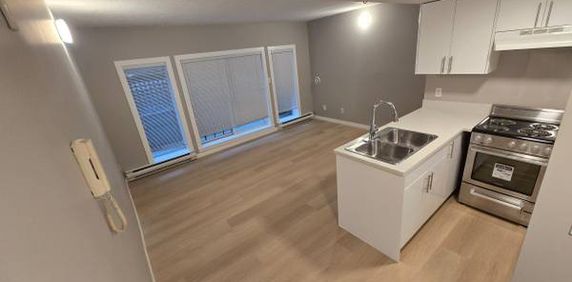 Newly Renovated 1bed 1bath in Marpole! *LOWERED* - Photo 2