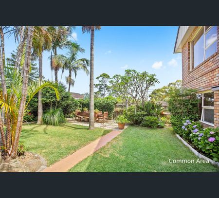 631A Warringah Road, Forestville, NSW 2087 - Photo 5