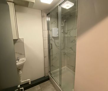 Room in a Shared Flat, Ranelagh Street, L1 - Photo 6