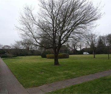 1 bedroom ground floor flat to rent - Photo 4